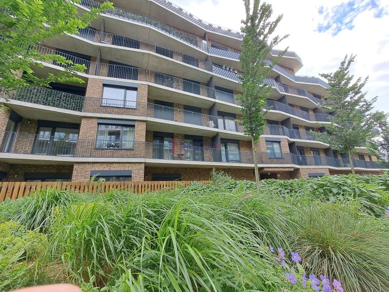 Rent Studio, Studio, Fialová, Bratislava - Petržalka, Slovakia
