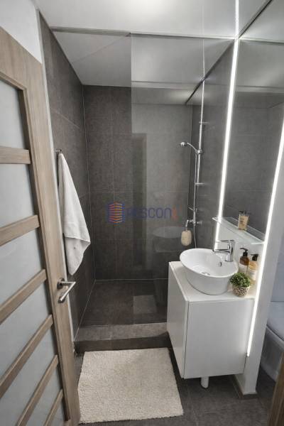 Rent One bedroom apartment, One bedroom apartment, Fedinova, Bratislav