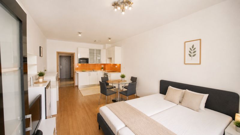 Rent Single studio, Single studio, Sliačska, Bratislava - Nové Mesto, 