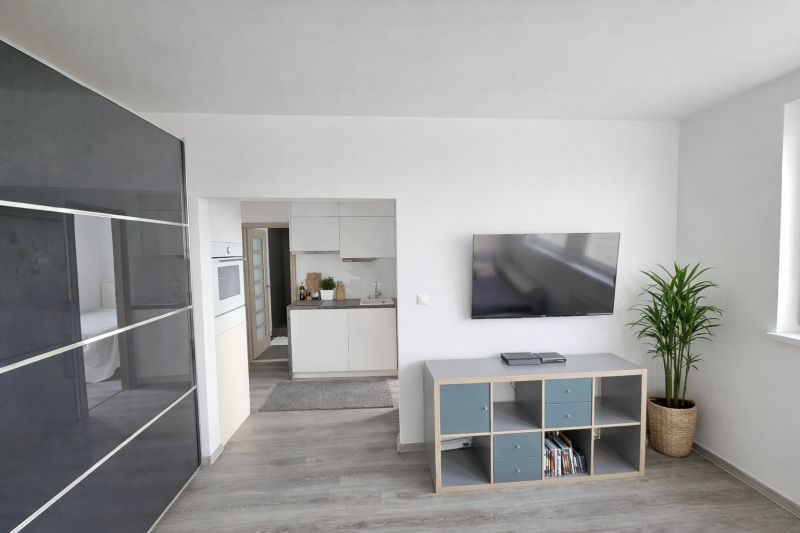 Rent One bedroom apartment, One bedroom apartment, Fedinova, Bratislav