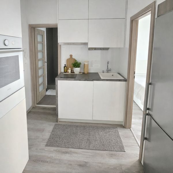 Rent One bedroom apartment, One bedroom apartment, Fedinova, Bratislav